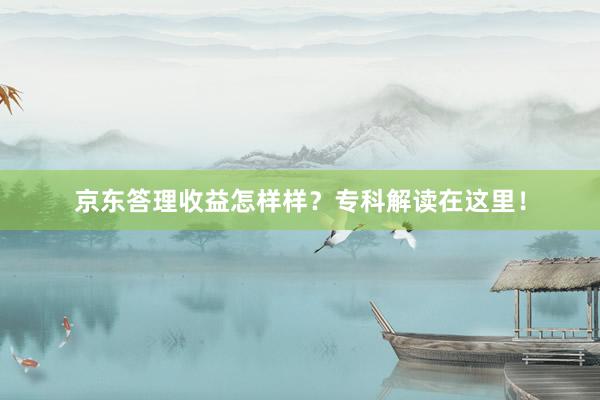 京东答理收益怎样样?专科解读在这里!