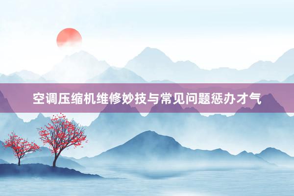 空调压缩机维修妙技与常见问题惩办才气